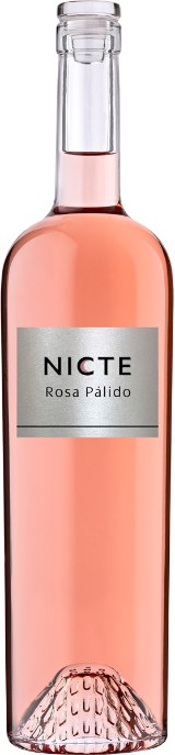 Nicte Rosa Pálido Castilla y León VdT Vegan