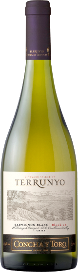Terrunyo Sauvignon Blanc Casablanca Valley Terrunyo Sauvignon Blanc Casablanca Valley