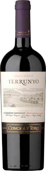 Terrunyo Cabernet Sauvignon Maipo Valley Terrunyo Cabernet Sauvignon Maipo Valley