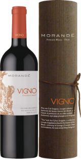 Vigno Carignan Old Vines Maule Valley
