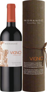 Vigno Carignan Maule Valley Vigno Carignan Maule Valley