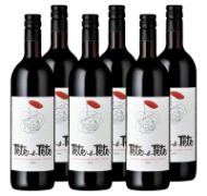 Tête à Tête Cabernet Syrah 6er Vorteilspaket Wine-Outlet