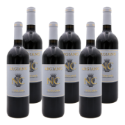 Non Confunditur Vorteilspaket 6 x 75 cl Rosso della Toscana IGP